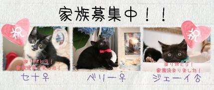 黒猫３兄弟